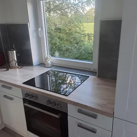 Hébergement de vacances Ferienhausweseby